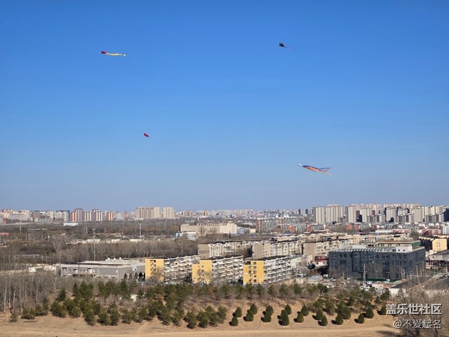 【我家附近的公園】