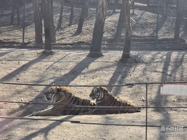 【幸福時光】與肉食動物零距離