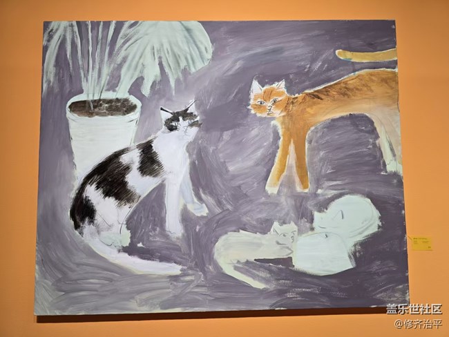 【幸福時光】風(fēng)趣幽默的喵星人