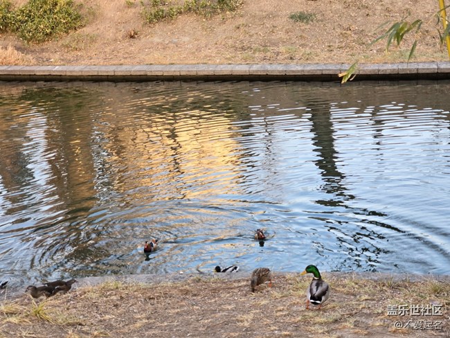 【我家附近的公園】萬物復蘇