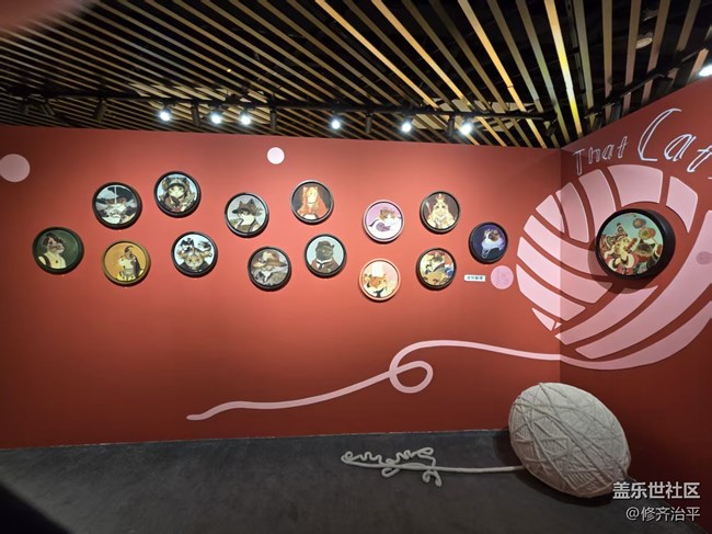 【幸福時光】一起探索喵的世界