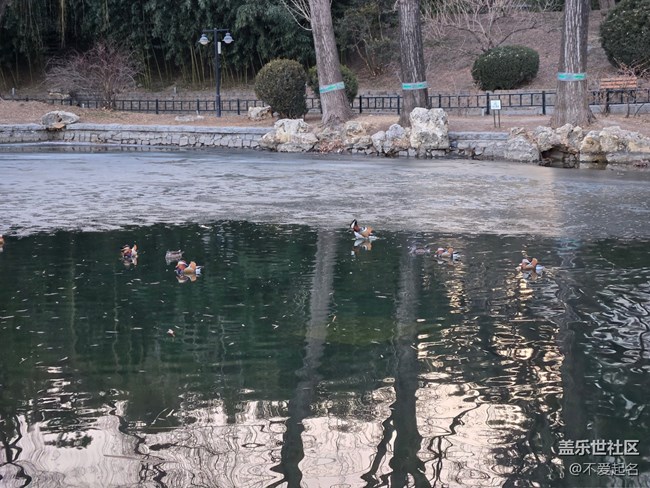 【我家附近的公園】春融公園湖