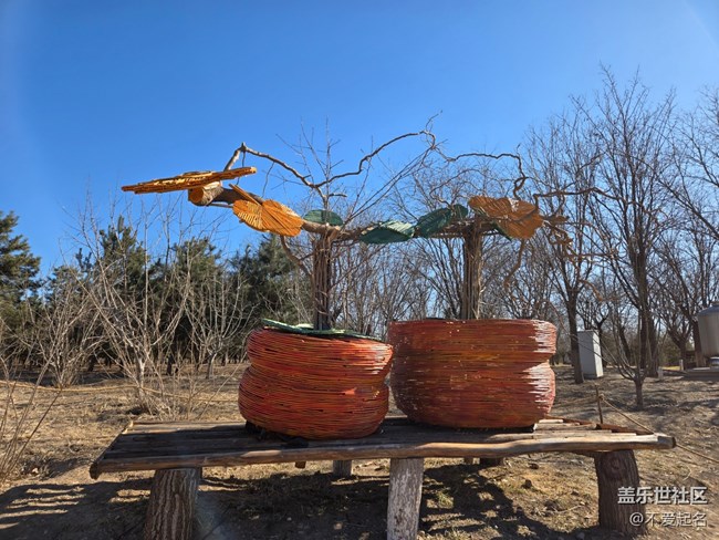 【我家附近的公園】周末打卡濕地，擁抱清新自然