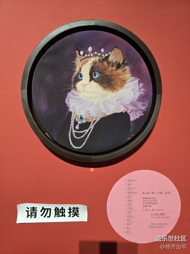 【幸福時光】一起探索喵的世界