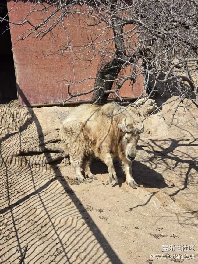 【幸福時光】與肉食動物零距離