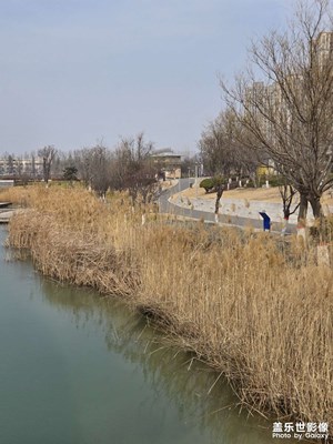 【煦色韶光】+春天隨拍