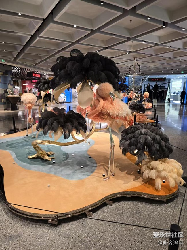 【幸福時(shí)光】商場里的火烈鳥