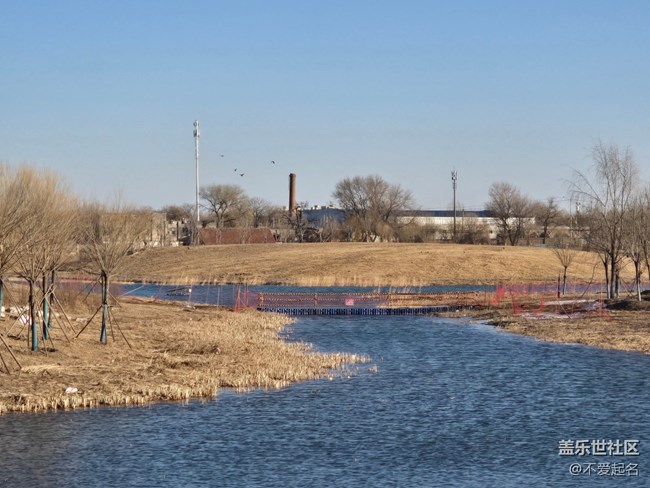 【我家附近的公園】周末游濕地，領(lǐng)略生態(tài)之美