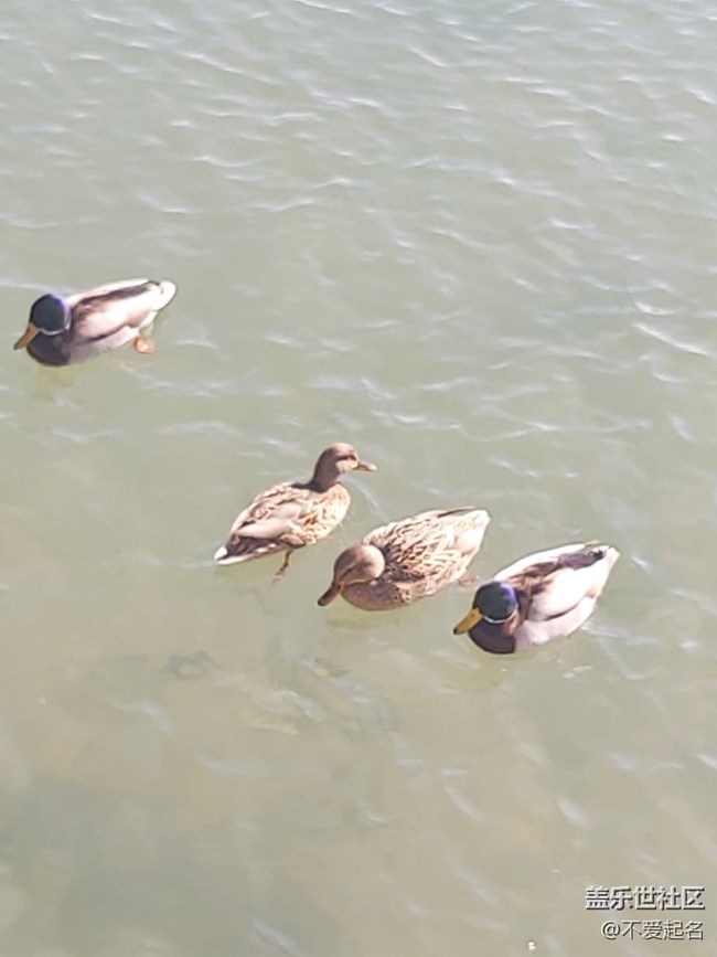 【我家附近的公園】趣游園林，點(diǎn)亮周末歡樂