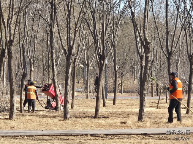 【我家附近的公園】濕地公園野營