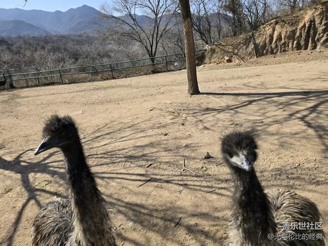 【幸福時光】群居動物大集合