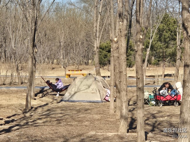 【我家附近的公園】濕地公園野營