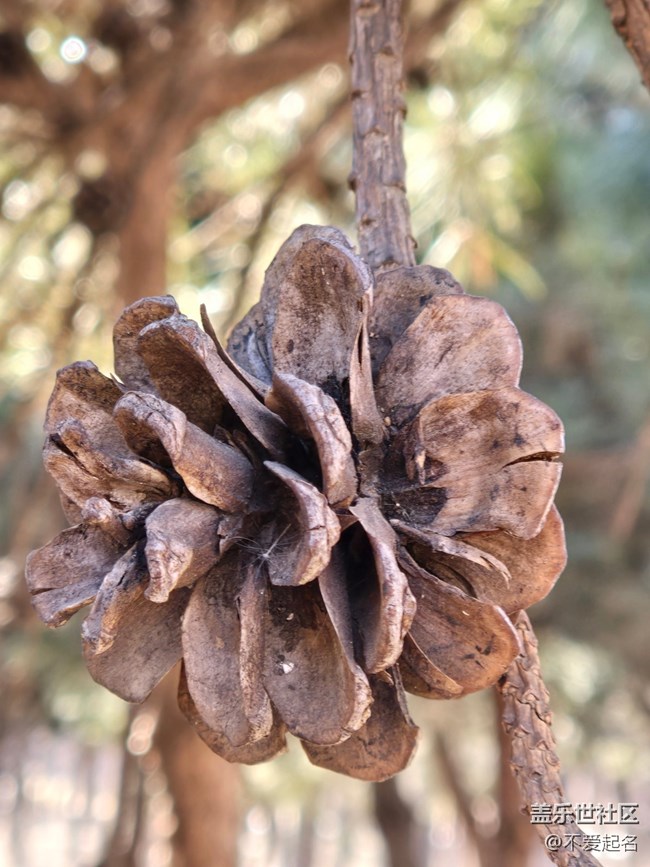 【我家附近的公園】趣游濕地，暢享周末悠閑