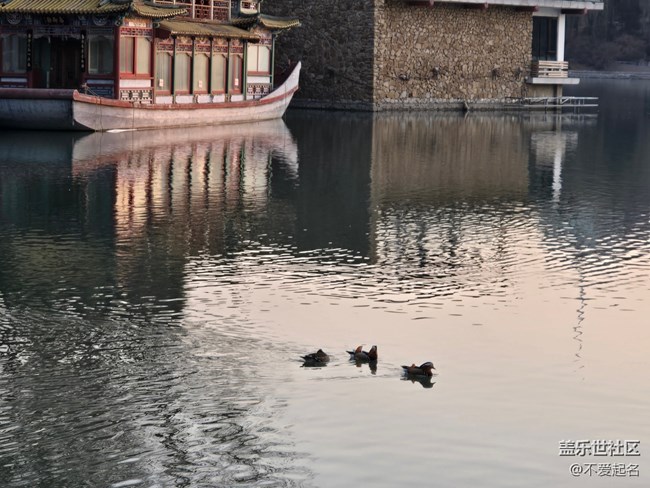 【我家附近的公園】鴛鴦戲水