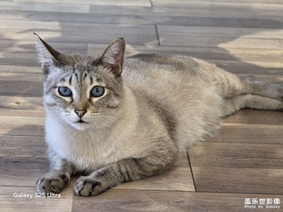 S25u真的是太強(qiáng)大了！