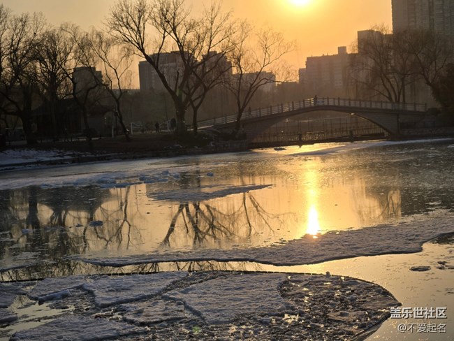 【我家附近的公園】萬物復蘇