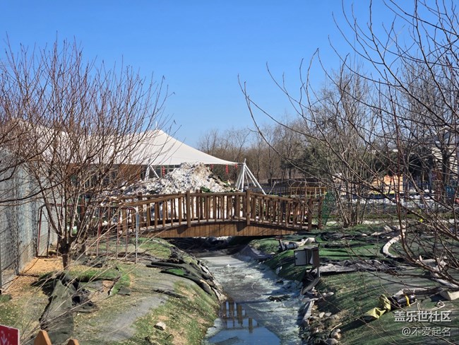 【我家附近的公園】萌寵樂園