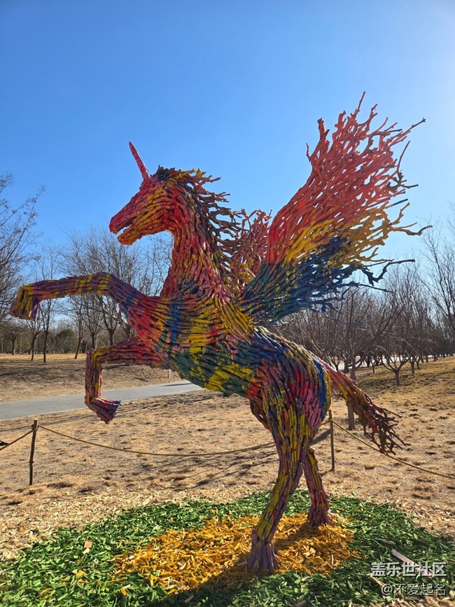 【我家附近的公園】周末打卡濕地，擁抱清新自然