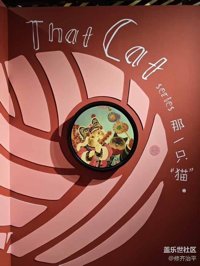 【幸福時光】一起探索喵的世界