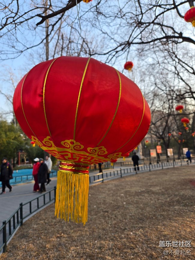 【我家附近的公園】賞畫跳舞