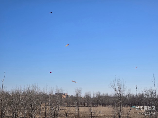 【我家附近的公園】趣游濕地，暢享周末悠閑