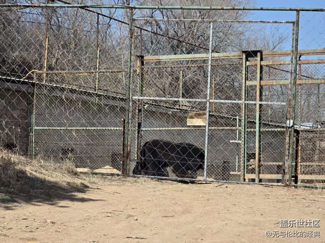 【幸福時(shí)光】羊與熊的故事