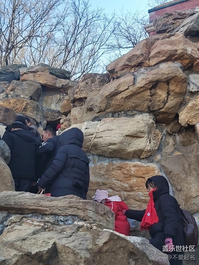 【我家附近的公園】沉醉園林美景