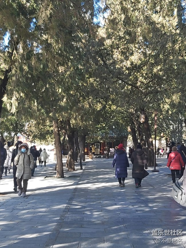 【我家附近的公園】周末置身園林，在樹蔭下乘涼，于湖畔邊發(fā)呆，盡情享受這份愜意悠然的園林時(shí)光。