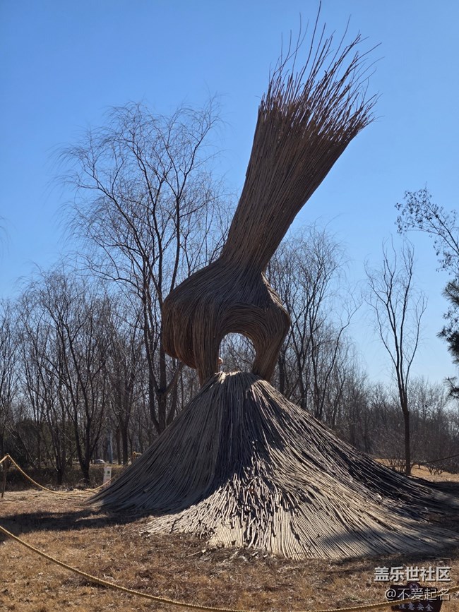 【我家附近的公園】周末濕地行，邂逅自然野趣