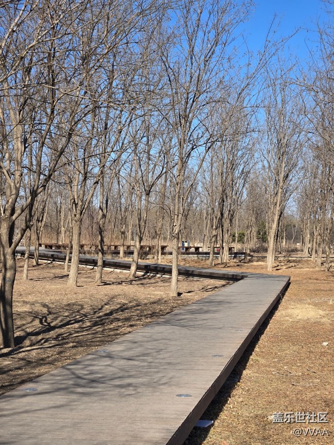 【我家附近的公園】濕地公園野營