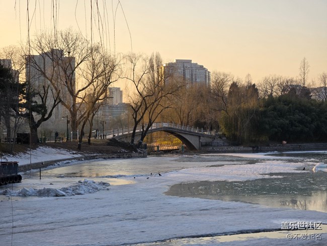 【我家附近的公園】萬物復蘇