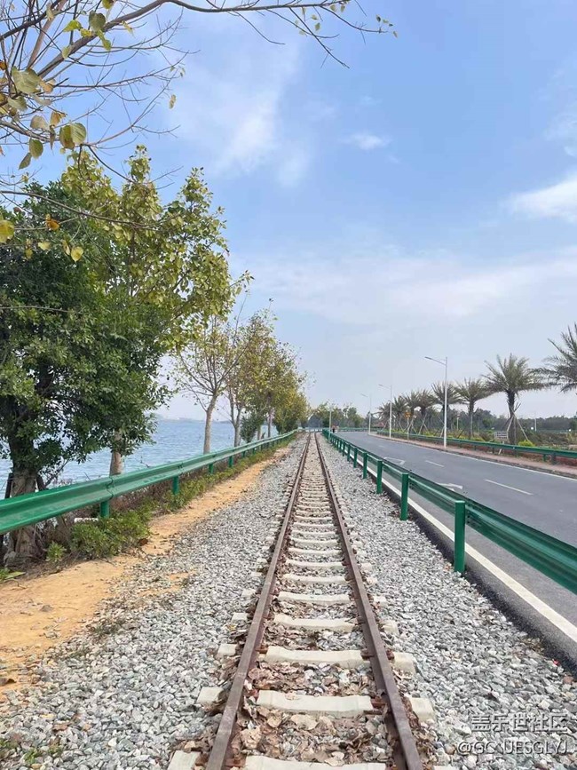 【廣州的花花們】+ 邂逅日常小美好