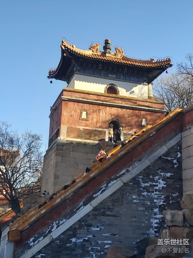 【我家附近的公園】沉醉園林美景