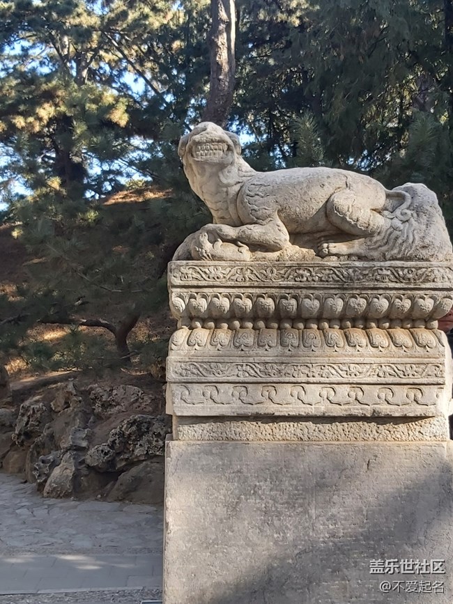 【我家附近的公園】周末愜意尋幽