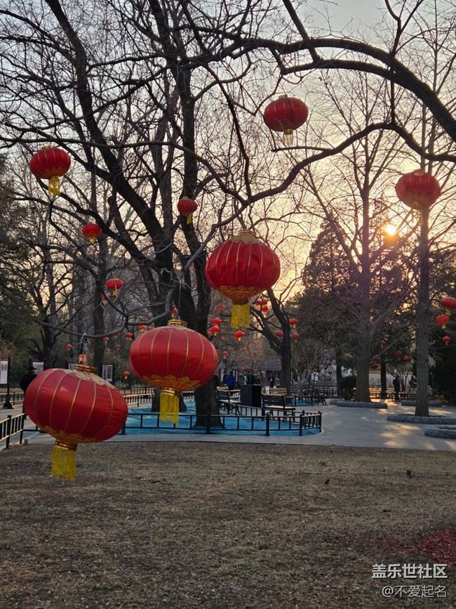 【我家附近的公園】賞畫跳舞