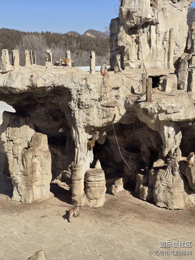 【幸福時光】豬猴羊全來了