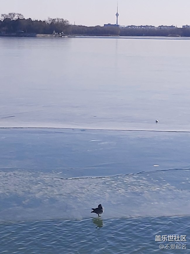 【我家附近的公園】趣游園林，點(diǎn)亮周末歡樂