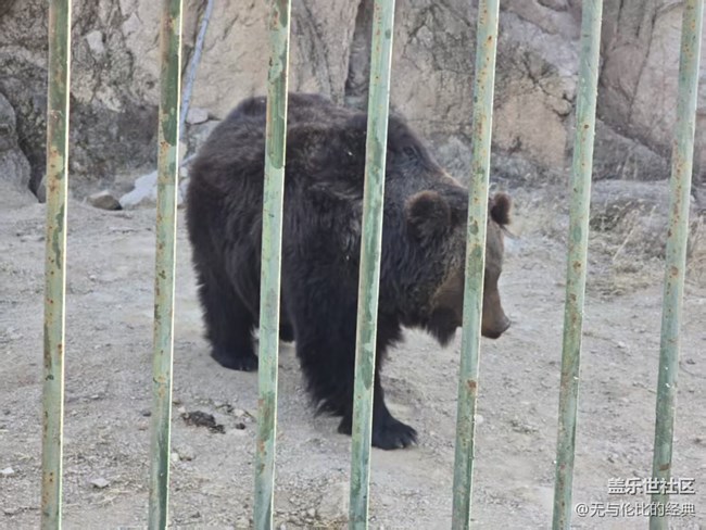 【幸福時光】與肉食動物零距離