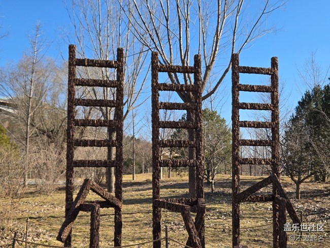 【我家附近的公園】周末打卡濕地，擁抱清新自然