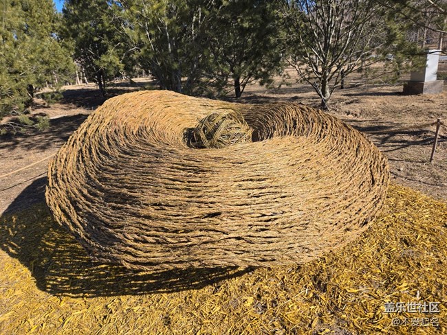 【我家附近的公園】周末打卡濕地，擁抱清新自然