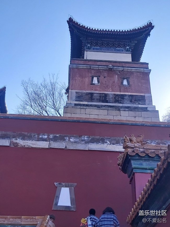 【我家附近的公園】暢享詩意周末