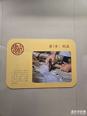 跟著學(xué)做皮影