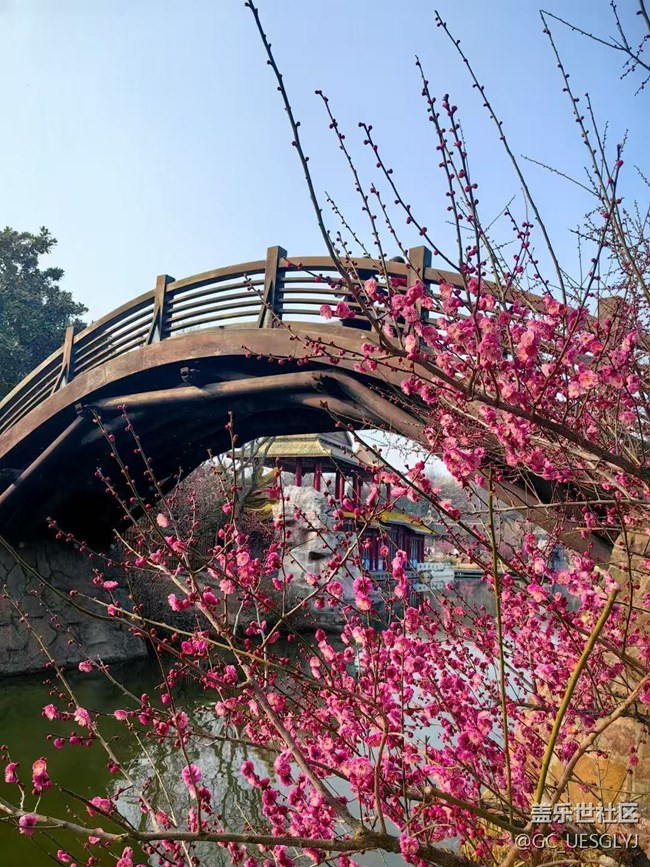 【廣州的花花們】+邂逅梅園詩(shī)意