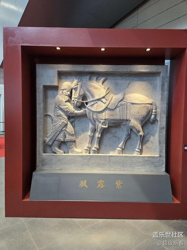 【貞觀鑒線下攝影活動】+線下攝影活動回顧貼