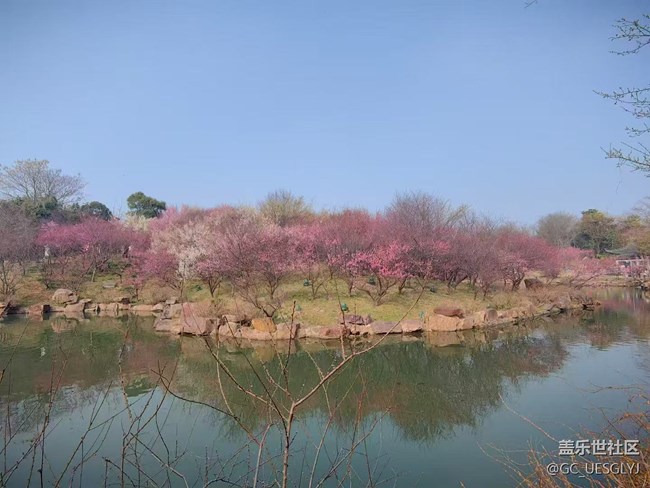 【廣州的花花們】+邂逅梅園詩(shī)意