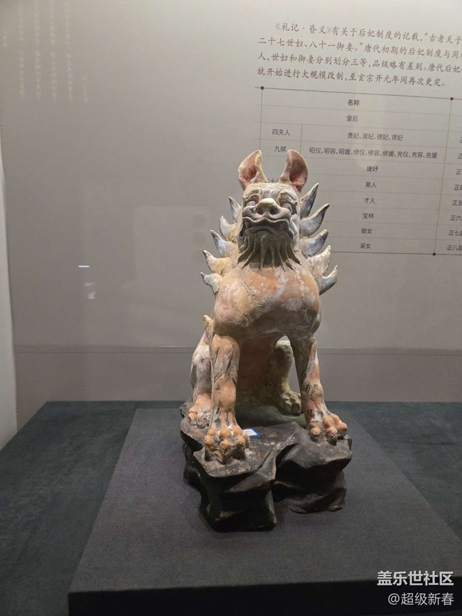 【貞觀鑒線下攝影活動】+線下攝影活動回顧貼