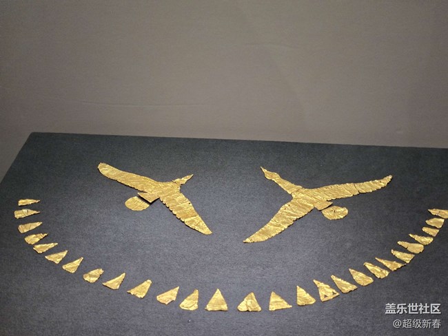 【貞觀鑒線下攝影活動】+線下攝影活動回顧貼