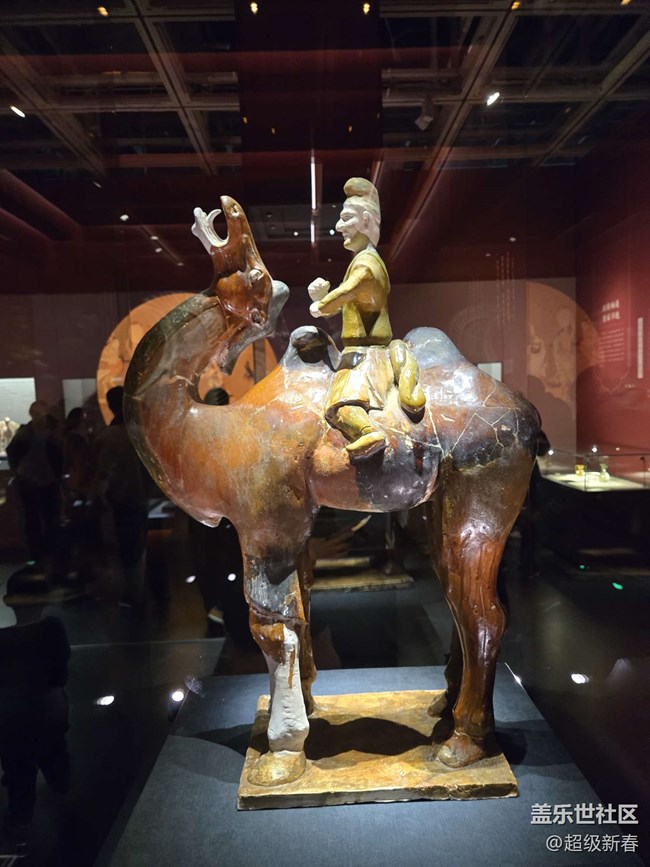 【貞觀鑒線下攝影活動】+線下攝影活動回顧貼