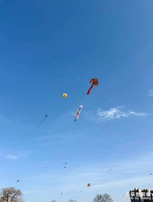 【煦色韶光】早春景色