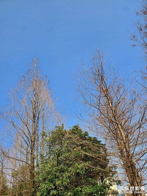 【煦色韶光】+初春